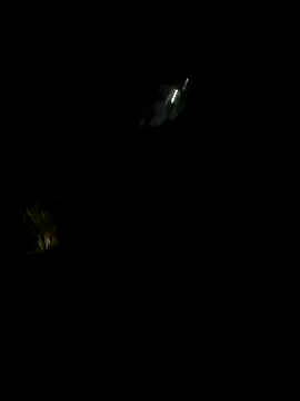 Snapshot of perlita05 chatting on 16, 11, 2025 perlita05 online show from 16, 11, 2025