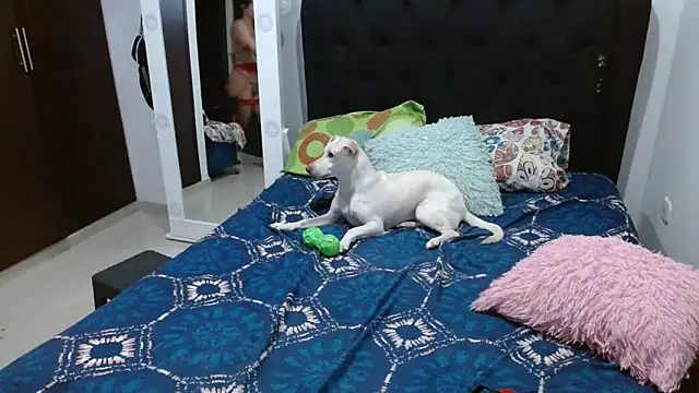 amazonafit  online show from 15, 2, 2025