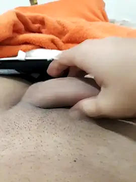 lm279 online show from 23, 11, 2025