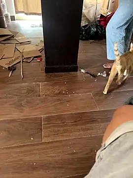 mexi01we online show from 16, 9, 2025