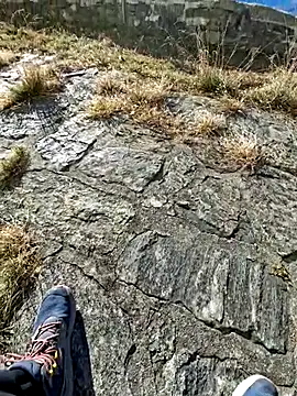 tony7567 online show from 27, 11, 2025