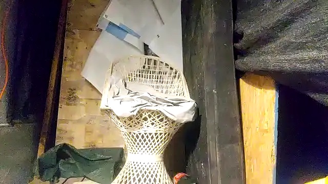 ed44435 online show from 21, 12, 2025