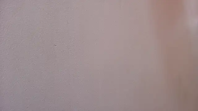 Snapshot of mss_samy chatting on 21, 2, 2025 mss samy online show from 21, 2, 2025