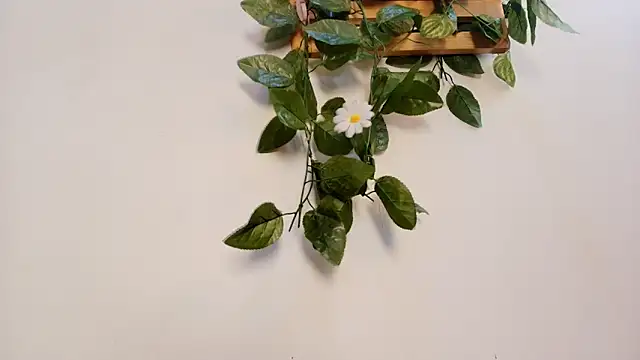 Snapshot of mss_samy chatting on 13, 2, 2026 mss samy online show from 13, 2, 2026