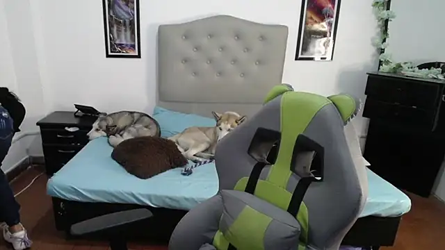 Nalaa Sc online show from 1, 3, 2025