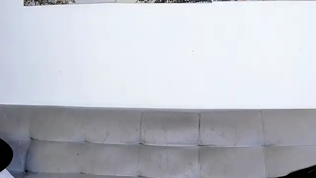 Dvid Rullers online show from 7, 1, 2026