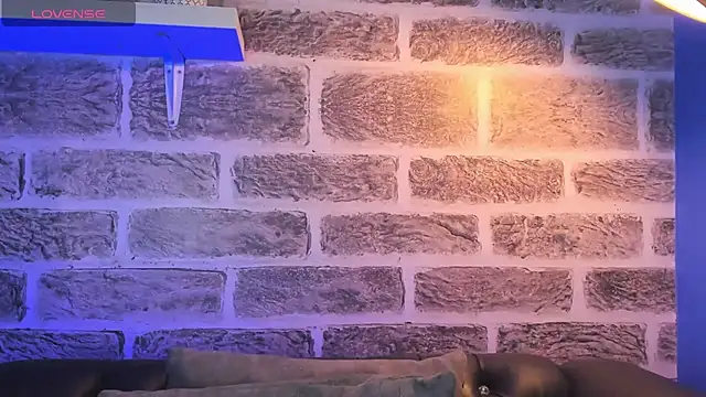 noah ricci online show from 14, 10, 2025