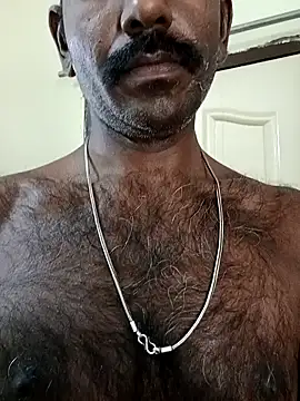 Chocolate stud10 online show from 14, 2, 2026