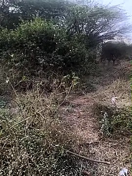 Abinash7732 online show from 1, 2, 2026