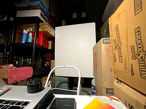 wynterheat online show from 2, 12, 2025