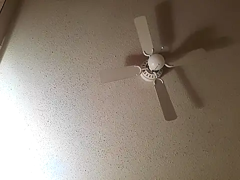 big8dall online show from 22, 10, 2025