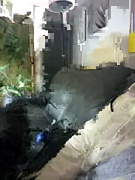 Snapshot of SweetMaddy888 chatting on 17, 12, 2024 SweetMaddy888 online show from 17, 12, 2024