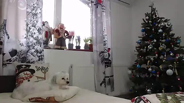 Snapshot of SweetMaddy888 chatting on 31, 12, 2024 SweetMaddy888 online show from 31, 12, 2024