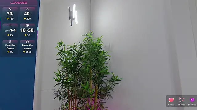 CelineMeyerr online show from 29, 5, 2026