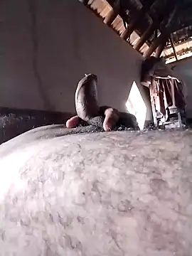 rajshank online show from 1, 3, 2025