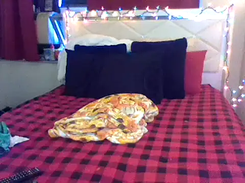 Snapshot of lachulalarubie chatting on 12, 1, 2025 lachulalarubie online show from 12, 1, 2025