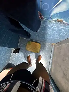 SageElement2 online show from 19, 2, 2026