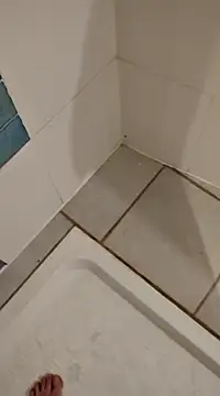 Ariete80s online show from 21, 2, 2025