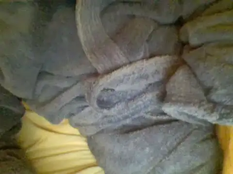 Ariete80s online show from 23, 2, 2025