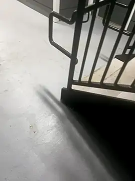 zeekBbc online show from 28, 10, 2025