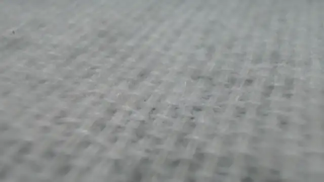  Zooee online show from 27, 1, 2025