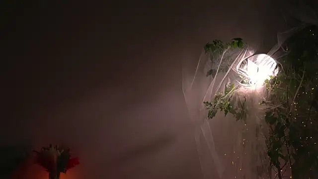 lorrie love story online show from 7, 10, 2025