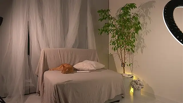 lorrie love story online show from 24, 11, 2025