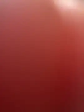 portugadopau online show from 10, 9, 2025