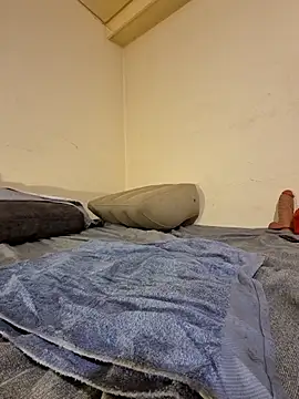 fox--3 online show from 10, 2, 2026