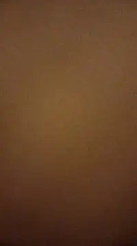 Nutbuster247 online show from 27, 2, 2025