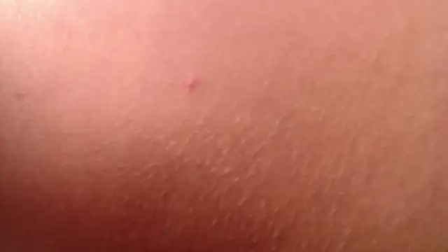 isabella jazz online show from 7, 1, 2026