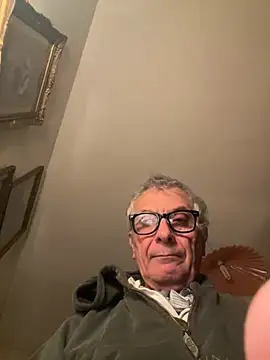 4n4l1zz4m1 online show from 13, 1, 2026