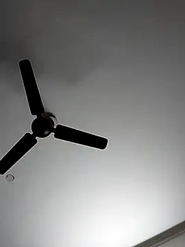 cutiecatty21 online show from 4, 11, 2025