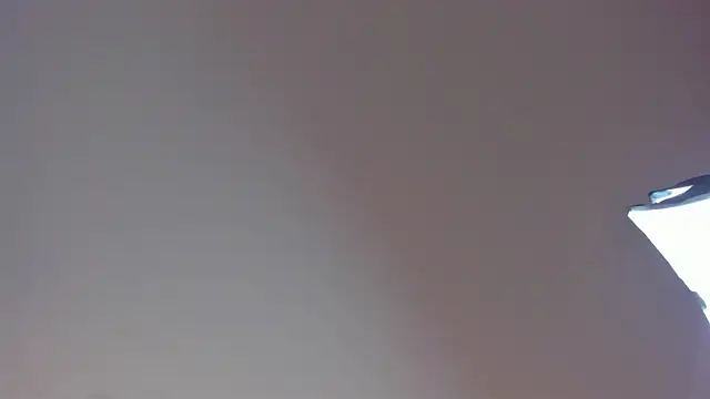 Snapshot of Laurent_Williams chatting on 28, 12, 2024 Laurent Williams online show from 28, 12, 2024