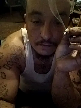 wilsons12 online show from 17, 4, 2026