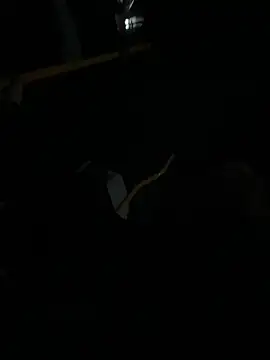 FROL83 online show from 10, 4, 2026