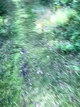 Zbochunec online show from 13, 9, 2025