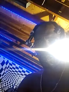 Snapshot of Cpp3377 chatting on 8, 3, 2026 Cpp3377 online show from 8, 3, 2026