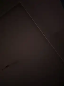 Snapshot of eddy355 chatting on 26, 10, 2025 eddy355 online show from 26, 10, 2025