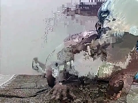 Snapshot of HunkyAriyan chatting on 11, 11, 2025 HunkyAriyan online show from 11, 11, 2025