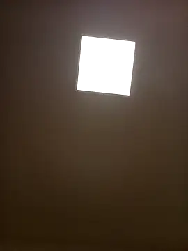 Porzz-6 online show from 15, 9, 2025