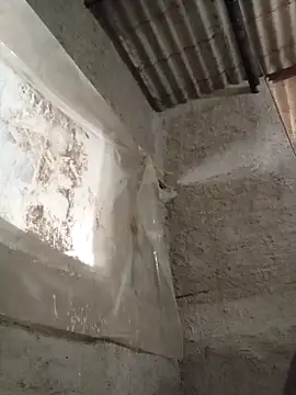 strip 1212 online show from 16, 11, 2025