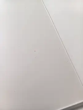 bbferlinaa online show from 21, 3, 2026