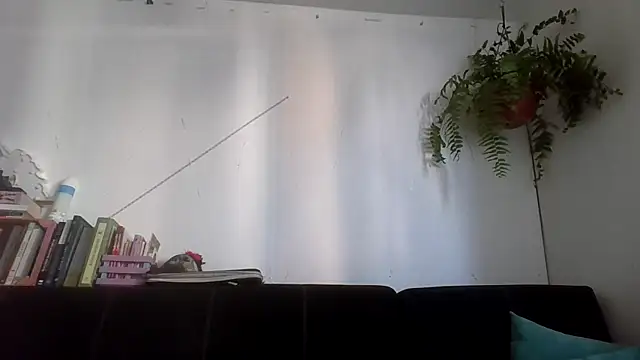 Tiramisu89 online show from 8, 2, 2026