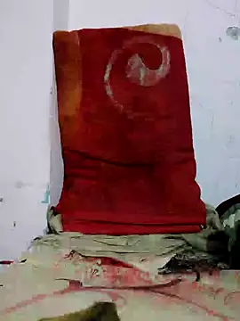 Sajd online show from 4, 12, 2024