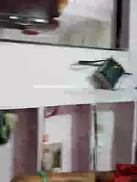 Sajd online show from 8, 12, 2024