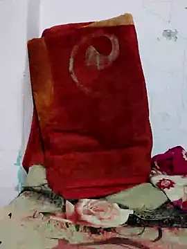 Sajd online show from 9, 12, 2024