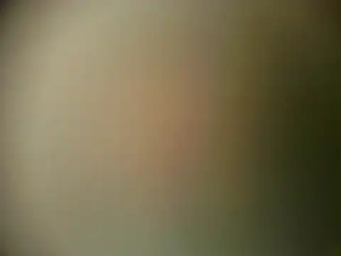 TheSweetBerry online show from 28, 3, 2026