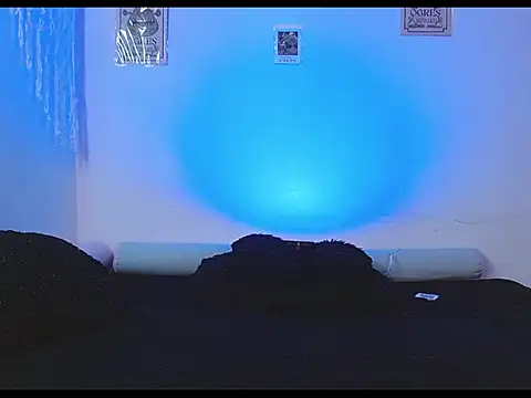 tylor boy online show from 2, 6, 2026
