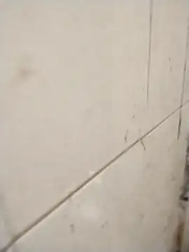 Snapshot of rohitlov150 chatting on 14, 11, 2025 rohitlov150 online show from 14, 11, 2025